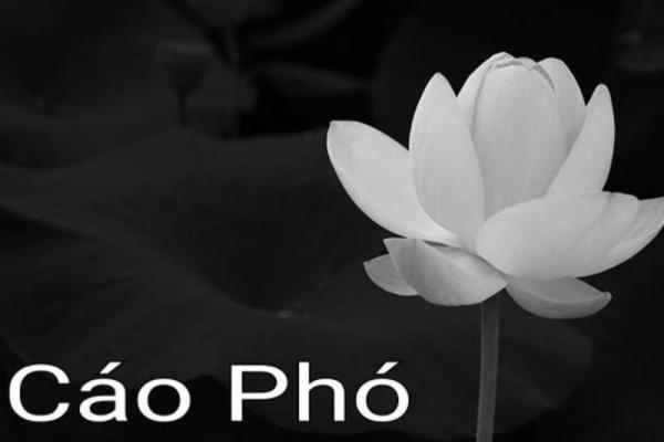 Cáo phó là gì? Cách viết cáo phó đúng chuẩn và đầy đủ